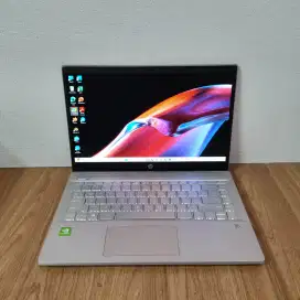HP Pavilion intel i7 gen 10 + Nvidia MX250