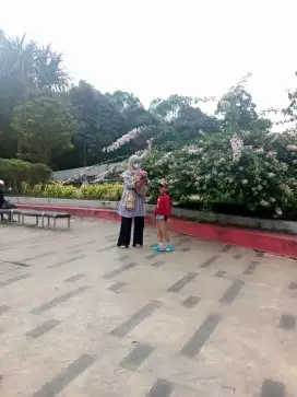 Sedang mencari kerjaan