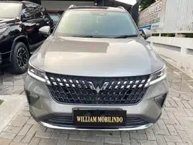 Wuling alvez Ex matic
