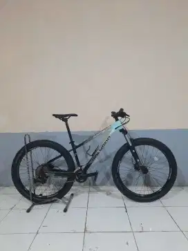 POLYGON XTRADA 5 TAHUN 2022