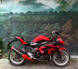 Ninja 250 Mono SL
