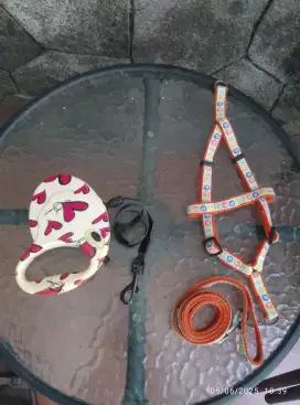 Tali anjing tuntun dan Retractable Leash, 2pcs 100rb,Bandung
