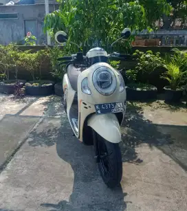 Dijual Scoopy Fashion 2021