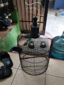 Jual sangkar lb tanggung