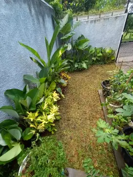 TUKANG TAMAN JABODETABEK
