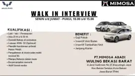 Walk in Interview Sales Wuling
