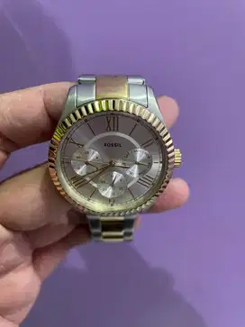 FOSSIL CHAPMAN - PRIA