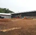 DISEWAKAN PERTERNAKAN AYAM