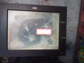 Monitor IBM 14 inc