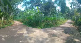 Jual Tanah dekat jalan