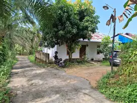 Rumah murah jl Hangtuah masuk jl BPG atau jalan sail
