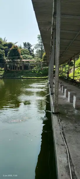 Property paling dicari saat ini : tempat healing di banyumanik