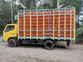 Colt Diesel Canter FE73 Tahun 2010 Dobel Engkel/Ban (Truk Ayam)