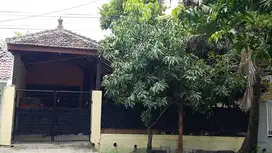 Dijual Rumah Di Darmo Permai Timur