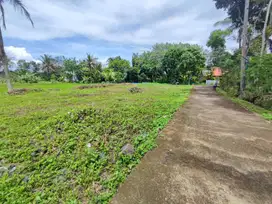Jual Tanah Di Jogja, Belakang Kampus UII ; Lingkungan Kost