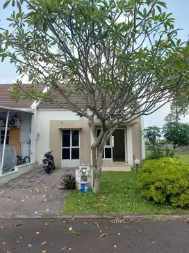 Rumah 1 Lantai Hoek 7x17 di Dhana Suvarna Sutera Tangerang K90002F DS