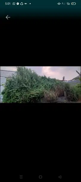 Tanah murah taman pinang