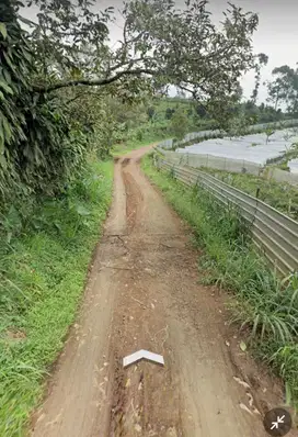 Tanah -+9000mtr sukaresmi kutawringin Cianjur Jabar Shm 2,5m nego