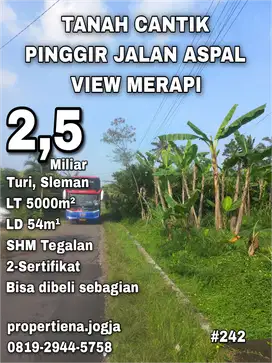 TANAH CANTIK PINGGIR JALAN ASPAL VIEW MERAPI