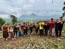 jual tanah murah di puncak 2 bogor project nuansa alam