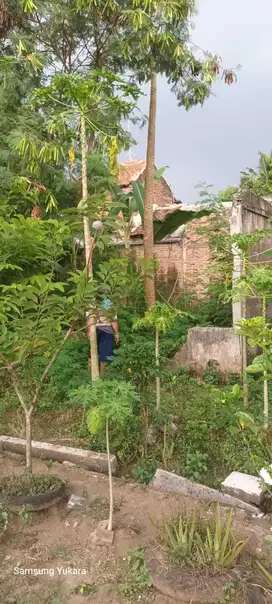 Dijual Murah B U Kavling di Komplek Taman Pipitan Indah, serang