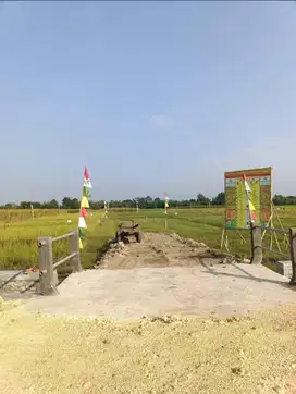 Tanah Kavling Strategis & Asri Dekat Pabrik Desa Padakaton Brebes