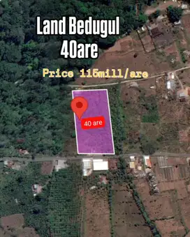 Land for sale bedugul tabanan 4000m2