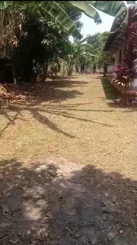 tanah + rumah area BSD murah khusus pembeli hard cash (NEGO)