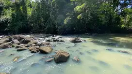 Di jual tanah dekat pantai cocok villa atau hunian zona kuning