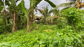 Di jual tanah kecil zona kuning cocok untuk hunian atau villa pribadi