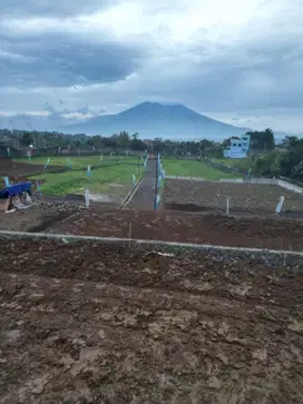 Jual tanah kavling ciawi jambu luwuk
