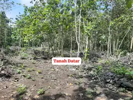 Dijual Tanah Pekarangan Luas Murah di Srikayangan Sentolo