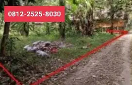 Tanah murah produktif 1746m dijual di serang MD3