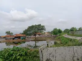 Tanah Empang Posisi Ok Cocok To Perumahan, Pemancingan & Gudang