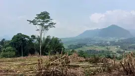 Tanah Kavling Vila Bogor Legalitas SHM Bisa Buat Vila atau Rumah kebun