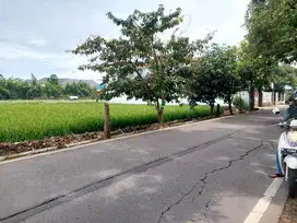 Tanah jarang ada, 150 mtr ke campus UIN Cimemcrang