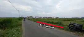 JUAL TANAH SAWAH TEPI JALAN DESA TLOGO KANIGORO BLITAR