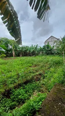 Dijual Tanah Cocok Untuk Cluster Di Pondok Aren