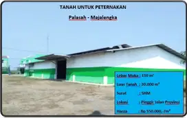 tanah untuk peternakan