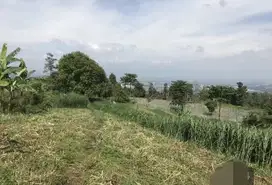 Di Jual Tanah Cocok Untuk Perumahan Di Jl. H. Gofut Dekat Pakuhaji
