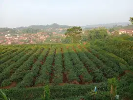 Di jual tanah view bagus, pinggir jln desa ada mata air