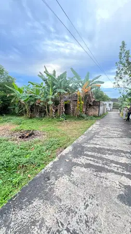 TANAH MURAH LEMABANG JL YAYASAN