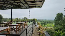 Jual Kebun Durian di Bogor,SHM,Bonus Villa, 30 menit Kebun Raya Bogor