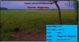 tanah untuk peternakan
