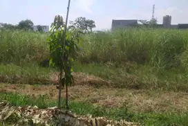 Kavling Tanah Area Taman, Sidoarjo Cocok untuk Investasi ANG.A063