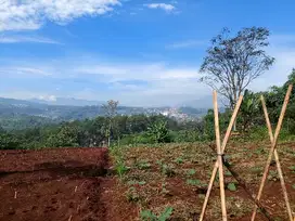Tanah lebun dekat perum Ciptasari pamulihan sumedang