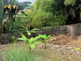 For Sale Tanah Cocok Untuk Town House Di Kesiman Kertangu Bali