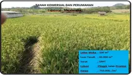 tanah komersial dan perumahan