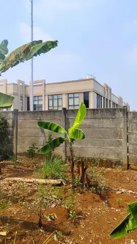 Termurah. Tanah Kavling Bumi Puspitek Asri Pagedangan, lokasi bagus.