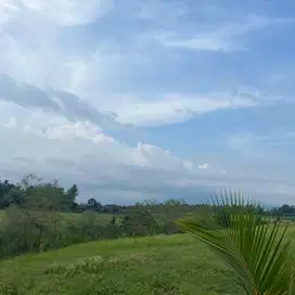 di jual tanah view sawah dan gunung di tabanan bali